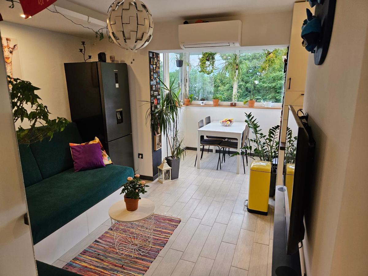 Apartman Carnevalus غييكا المظهر الخارجي الصورة