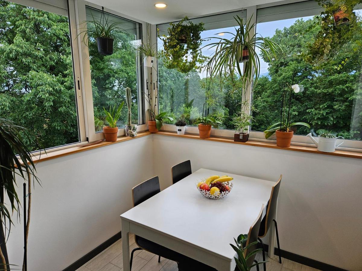 Apartman Carnevalus غييكا المظهر الخارجي الصورة