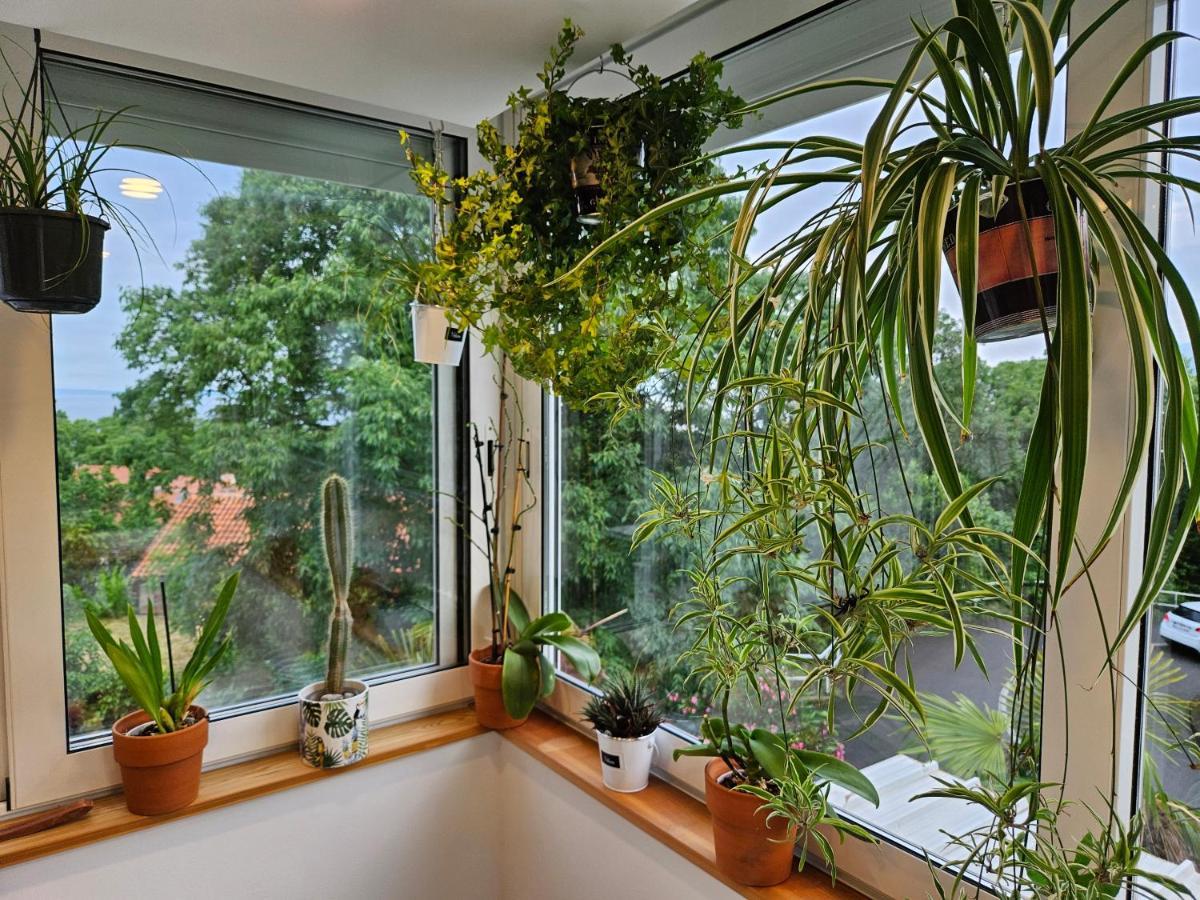 Apartman Carnevalus غييكا المظهر الخارجي الصورة