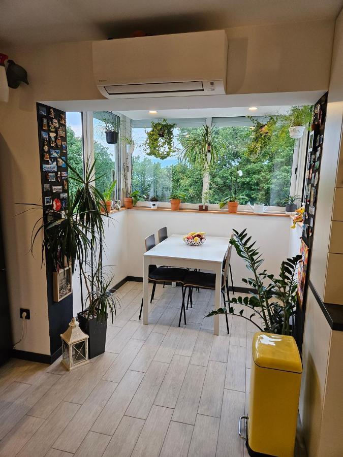 Apartman Carnevalus غييكا المظهر الخارجي الصورة