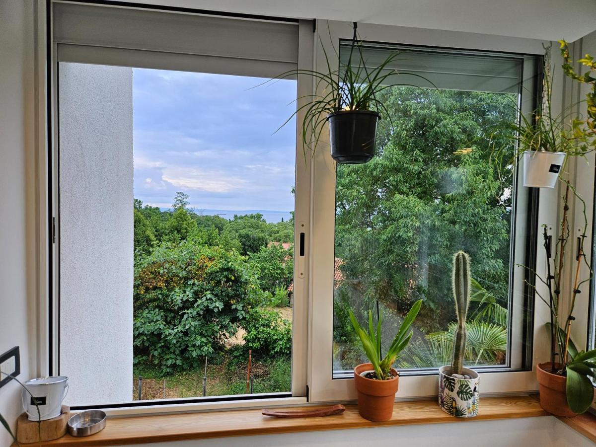 Apartman Carnevalus غييكا المظهر الخارجي الصورة